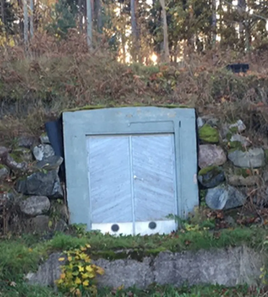 Källaren vid Linneavägen (foto: arkiv)